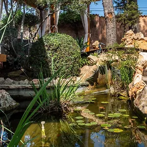 https://casa-es-pins.balearic-islands.net